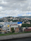 Carlos Rodríguez
